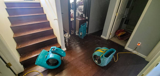 Best Flood restoration services  in Grayslake, IL