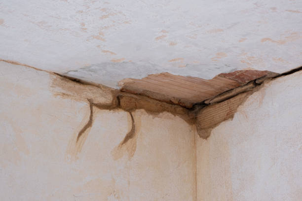  Grayslake, IL Water damage restoration Pros