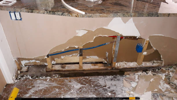 Best Commercial water damage restoration  in Grayslake, IL