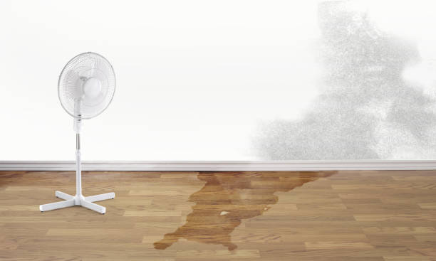 Best Emergency water damage restoration  in Grayslake, IL