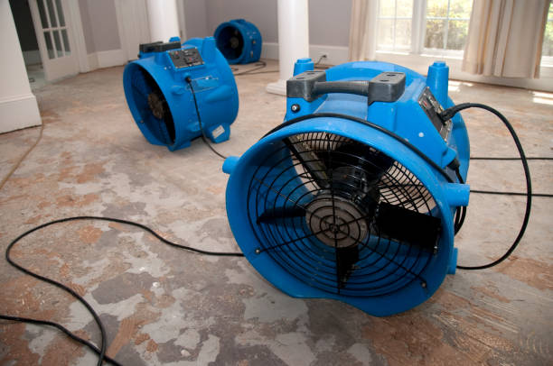 Best 24-hour water damage restoration  in Grayslake, IL