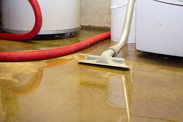 Best Residential water damage restoration  in Grayslake, IL