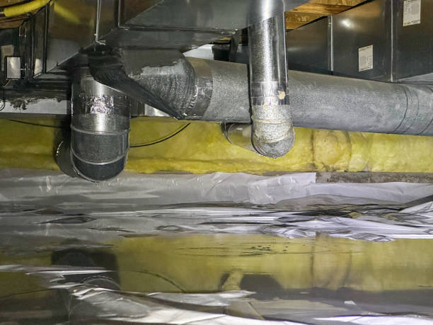 Best Local water damage restoration  in Grayslake, IL