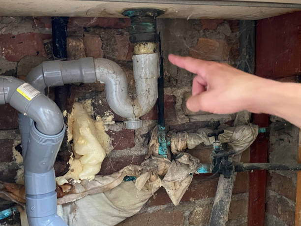 Best Commercial water damage restoration  in Grayslake, IL
