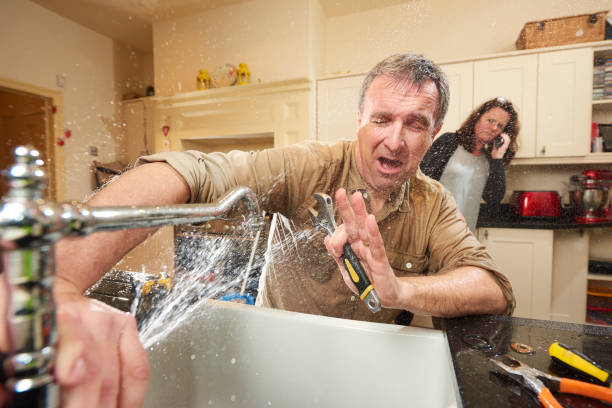 Best Basement water damage restoration  in Grayslake, IL